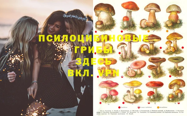 MDMA Premium VHQ Алексин