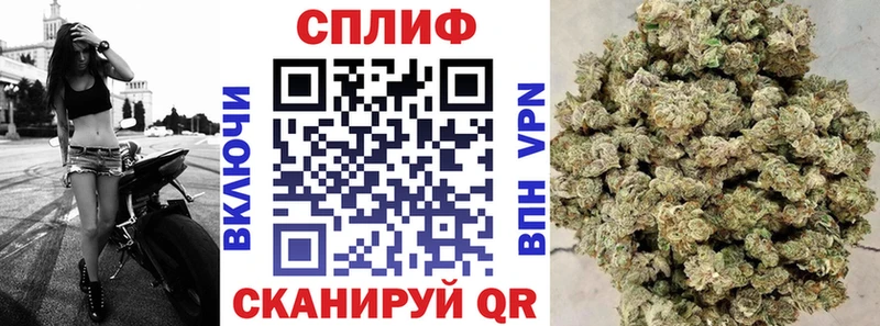 Шишки марихуана план  Камызяк 